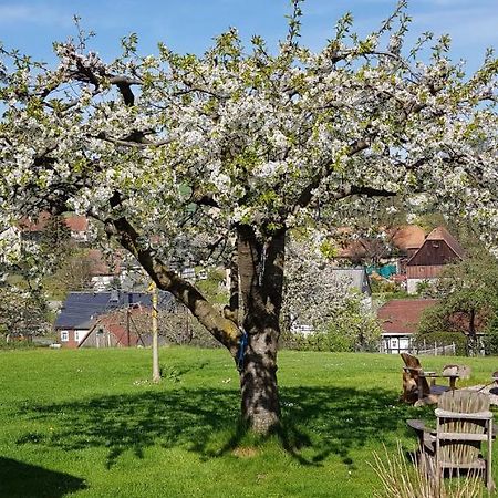 Hossies Hof - Elke Apartment Bertsdorf ภายนอก รูปภาพ